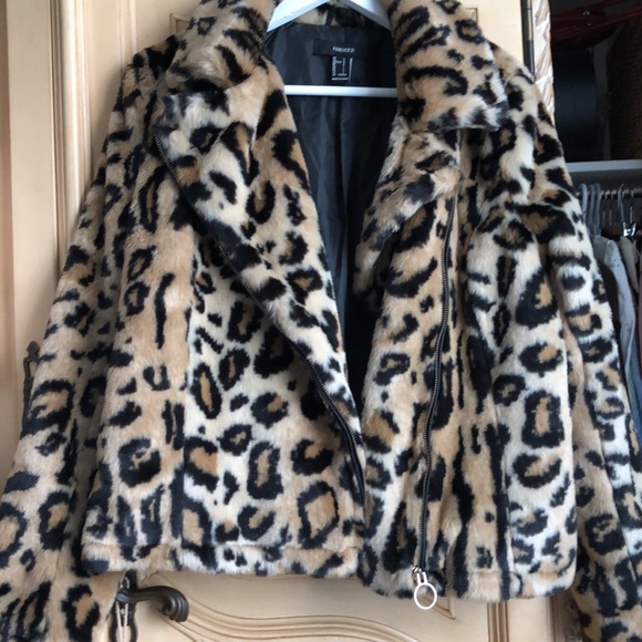 Forever 21 Animal Print Teddy Jacket - Picture 5 of 8